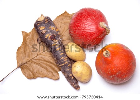 Autumn picture - harvest (pumpkins, potatoes, carrot)