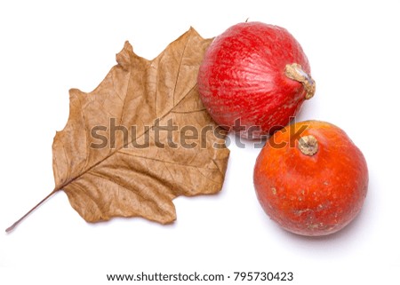 Autumn picture - two pumpkins