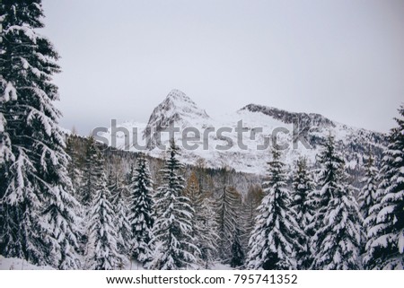 Cableway in the snowy Italian mountains. Winter in Dolomites Alps. Rolle pass, San Martino di Castrozza ski village. Paneveggio Pale di San Martino Natural Park
