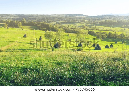 Picturesque lawns of Karpaty on Bucovina in Romania.