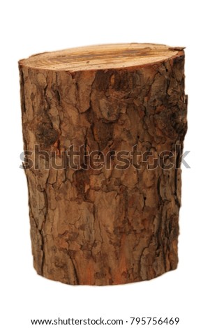 Tree stump on a white background