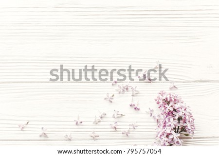 happy mothers day. beautiful lilac flowers on rustic white wooden background top view. space for text. greeting card. earth day. happy womens day. eco. hello spring flat lay image