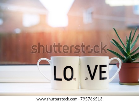 Two Cup of coffee with LOVE with cactus in pot plant next to the window, Love concept ,Background for Valentine with copy space