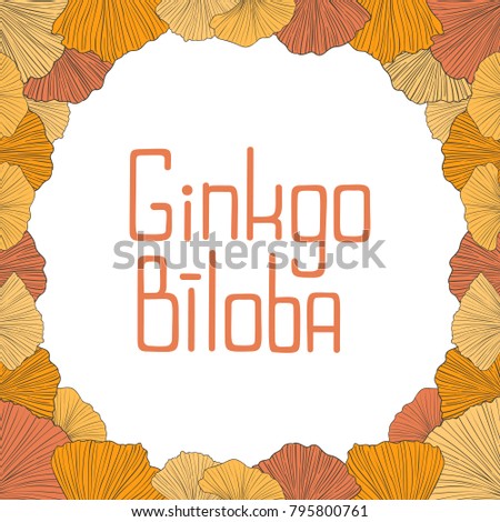 Hand drawn vector frame of autumn ginkgo leaves
