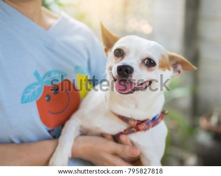 Woman hold chihuahua dog smilling