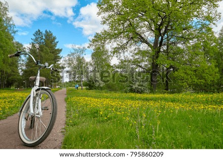 Bicycle at sunny day