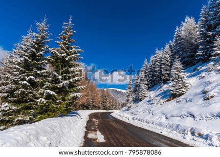 Winter landscape in the mountains