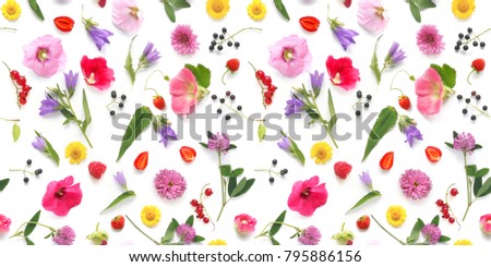 Seamless pattern from plants, wild flowers and  berries, isolated on white background, flat lay, top view. The concept of summer, spring, Mother's Day, March 8.  Royalty-Free Stock Photo #795886156