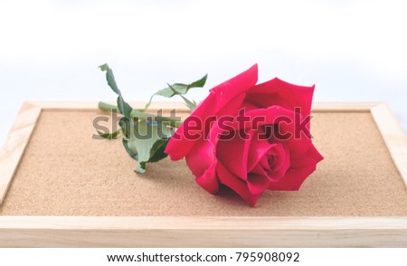 Love red rose pastel color on the ground wooden in Valentine's Day