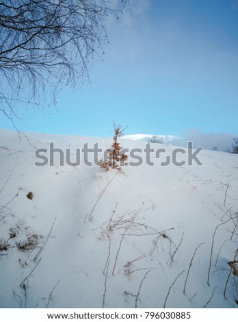Winter at mountain