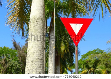 Give way - traffic sign. Brazilian sign with palm tree as background.   