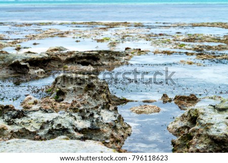 Low tide on tropical beach