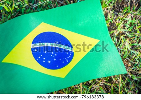 Flag of Brazil national team on soccer field background. The participating country in the championship tournament with copy space. World cup concept Royalty-Free Stock Photo #796183378