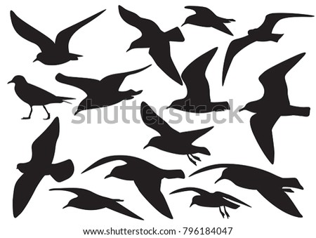 set of sea gull Silhouette, isolated Royalty-Free Stock Photo #796184047