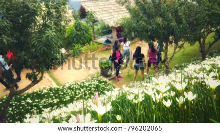 Blurry natural with  women's group In beautiful places, flowers, trees, sky, mountains.need blur picture