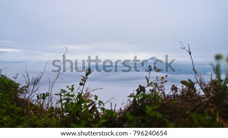 The Mist and Cool Weather on Doi Pha Tang, Chiang Rai, North of Thailand