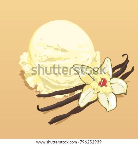 A vanilla ice cream scoop with Vanilla flower and stalks vector illustration art
