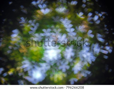 Abstract blur bokeh light flower nature leafs tree so beautiful.be suitable for website, postcard ,background.