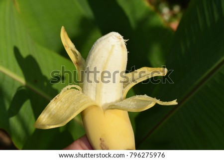 yellow ripe banana 