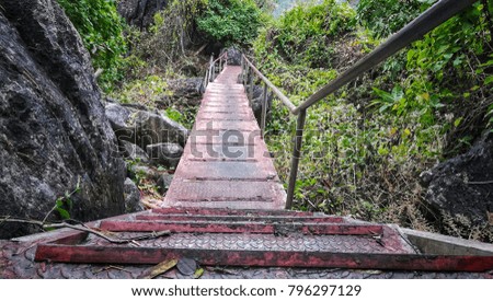Nature pathway for walking trail climb hill in the forest