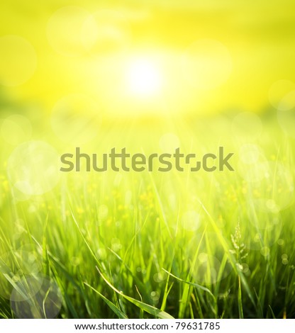 abstract summer  background