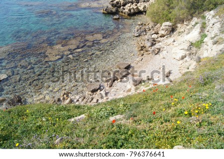 Sea view from above. Mediterranean Sea rocky shore. European coast. Spring flowers, poopies. Sea landscape. Transparent sea water. Laguna bay. Cyprus. Color photography.