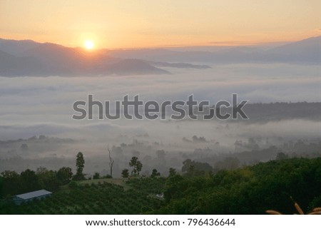 Beautiful sunrise and mist in Pai, Thailand