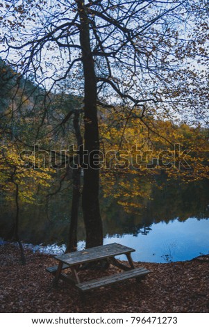 Yedigoller National Park, Bolu - Autumn landscape in seven lakes