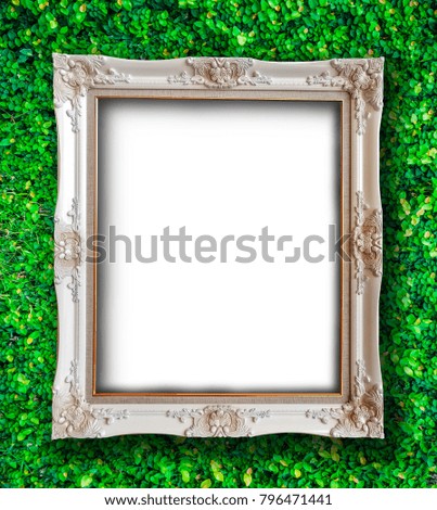 Old vintage picture frame with space use for texts or products display with fresh green small plant background
