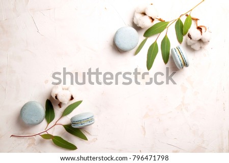 Stylish composition of French macaroons eucalyptus & cotton boll on white stucco plaster textured table. Happy valentine Birthday spring present. Copy text space, flat lay, top front view.