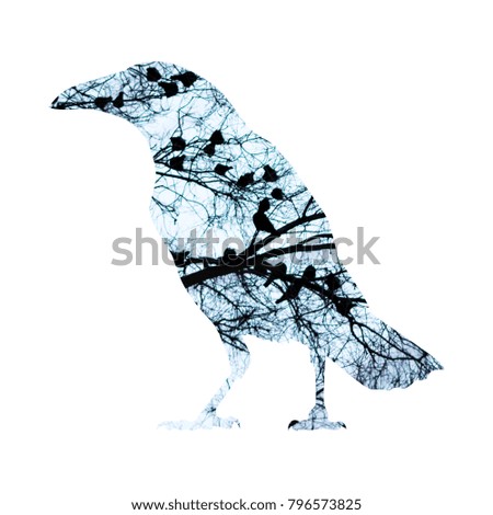 Illustration of raven with effect of double exposure. Background of birds sitting on tree.