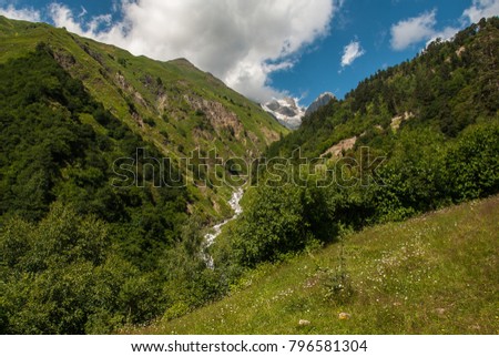 Ravine with a mountain river, slopes of Ushba