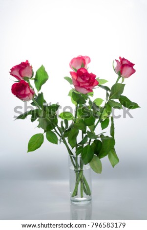 The delicate bouquet of crimson red roses standing in water in a transparent vase on a light background. Backlight. Closeup. Vertically.
