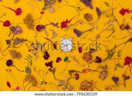 Little alarm clock and herbs with flowers around on yellow background