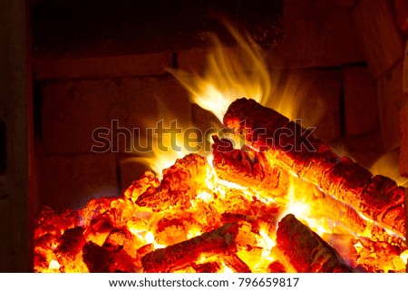 firewood,burning in the stove,the concept of wood heating,