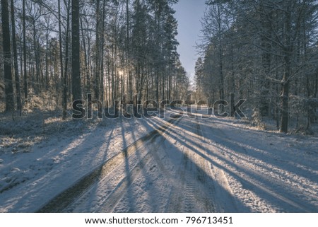 car tire tracks on winter road in deep snow in lonely forest - vintage film look