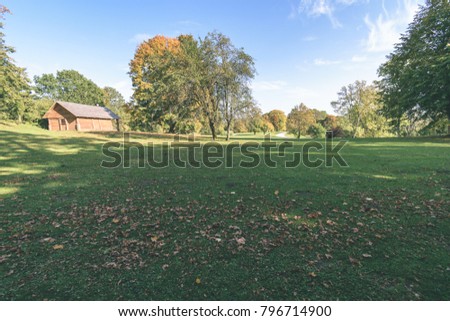 sunny day in summer park with green grass, sun above and lonely colored trees - vintage film look