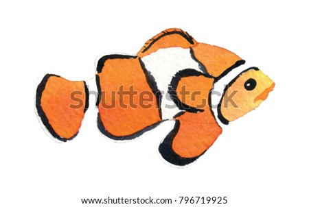 Watercolour painting of a clown fish