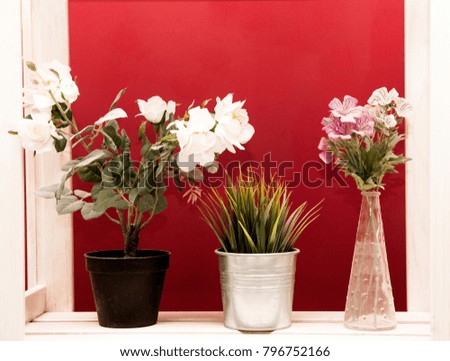 white shelves with flowers on a bright red wall background