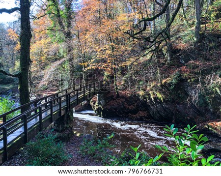 This picture was taken along a forest path just out side of the City of Derry in N.Ireland