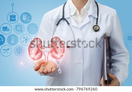 Doctor urologist shows kidneys on a blue background. Royalty-Free Stock Photo #796769260