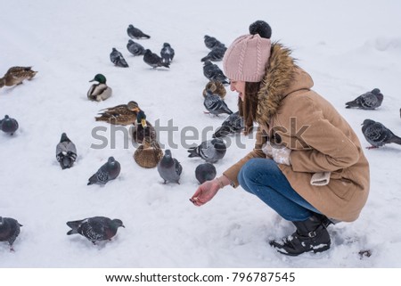Girl feeds ducks in winter on snow