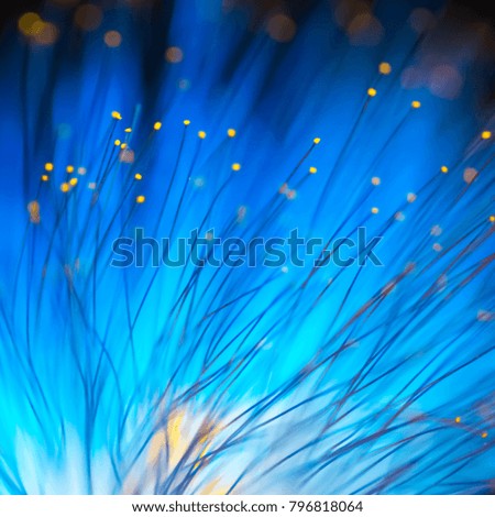 Abstract blurred blue light and flower natural background.