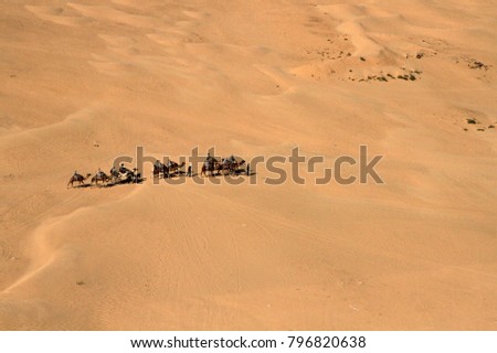 Caravan, Sahara Desert, Douz area, Tunisia