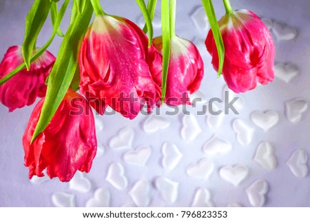 Red tulips in a glass vase and white silk heart retro style Valentine's day