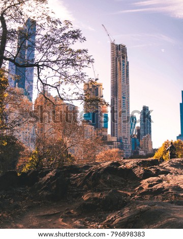 Vertical photo of buildings under construction in New York City. This photo was taken in Central Park. Posted on Instagram. 