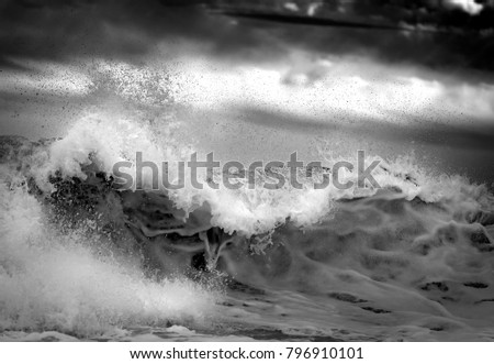 Black and white photo of wave, Sydney Australia