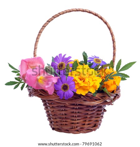 basket of various flowers on white background