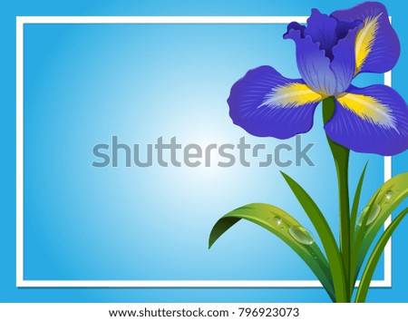 Border template with blue iris illustration