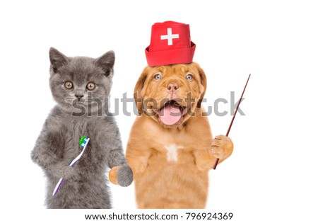 Funny puppy in medical hat with pointing stick and kitten with with toothbrushes. isolated on white background